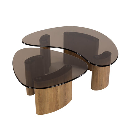 Tinta Organische Salontisch-Set aus Rauchglas (2-teilig) – Moderne Couchtische mit Eichenholz-Look